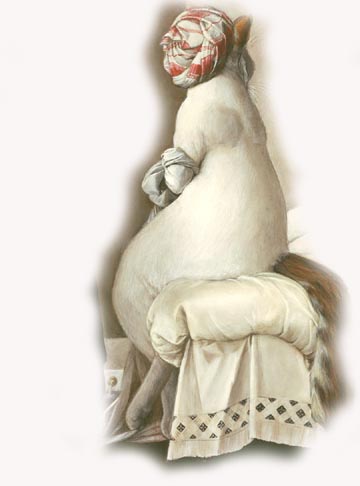Copia di Catz 3